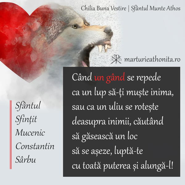 Sfantul Sfintit Mucenic Constantin Sarbu Cand un gand se repede ca un lup sa ti muste inima
