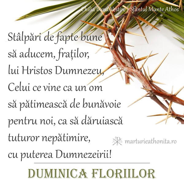 Stalpari de fapte bune sa aducem