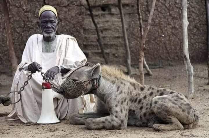 Ai uitat totul la prima mea greșeala