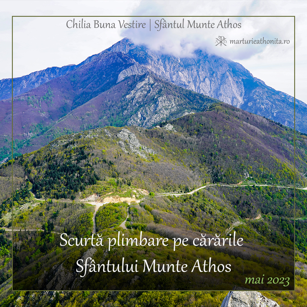 Plimbare Scurtă plimbare pe cărările Sfântului Munte Athos